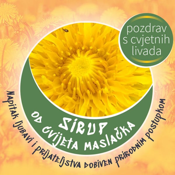 Sirup od cvijeta maslačka image